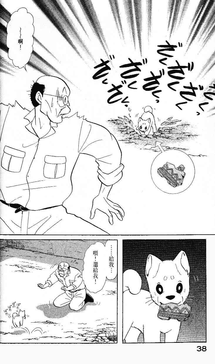 柴王 - VOL02 - 第40张图