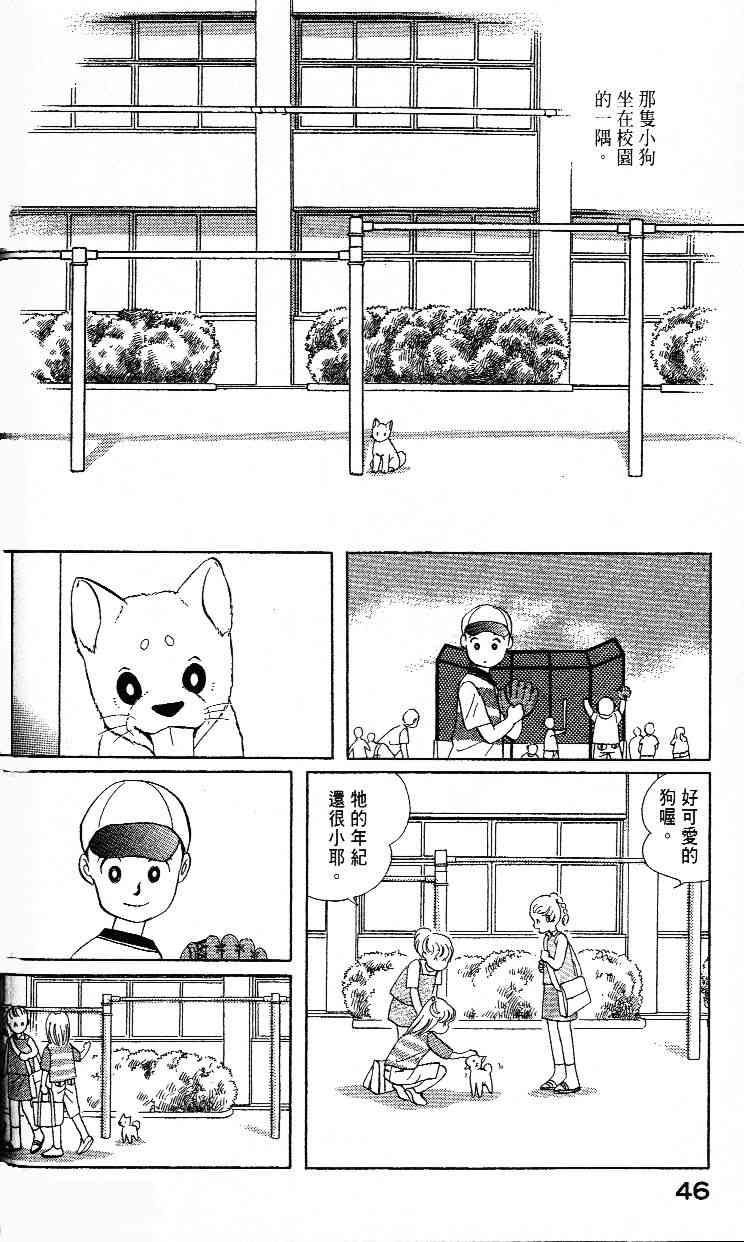 柴王 - VOL02 - 第48张图