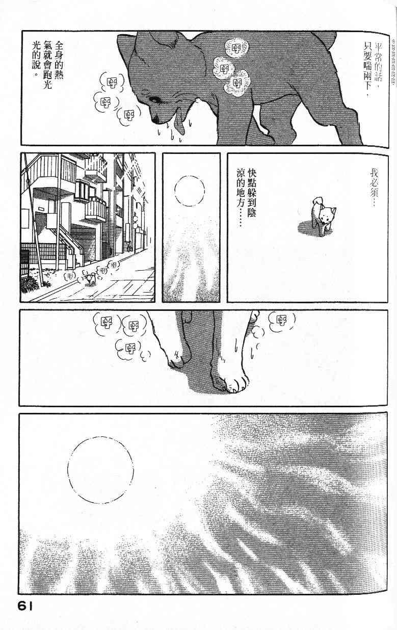 柴王 - VOL02 - 第63张图