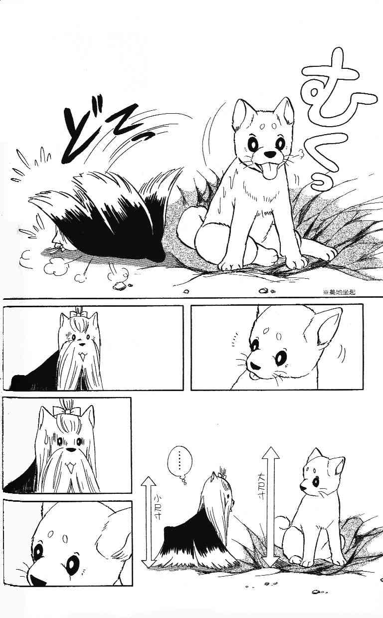 柴王 - VOL02 - 第70张图