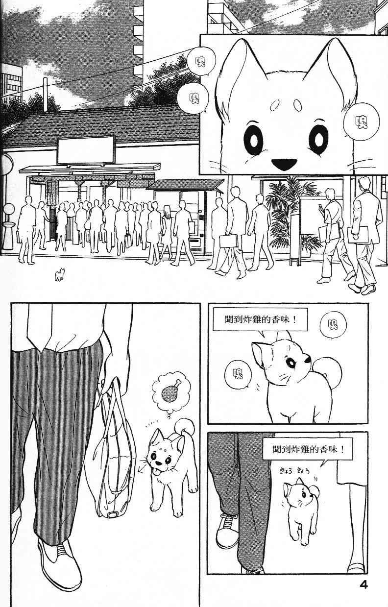 柴王 - VOL02 - 第7张图