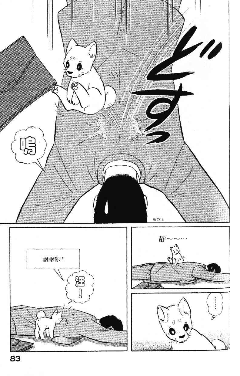 柴王 - VOL02 - 第85张图