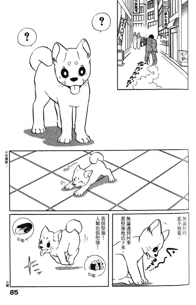 柴王 - VOL02 - 第87张图