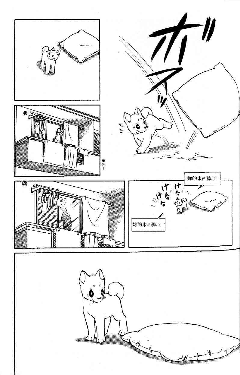 柴王 - VOL02 - 第93张图