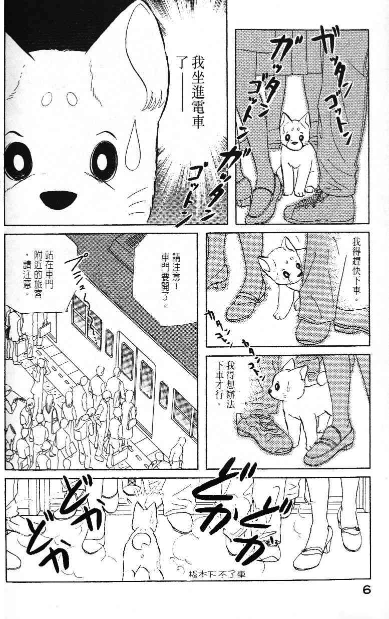 柴王 - VOL02 - 第9张图