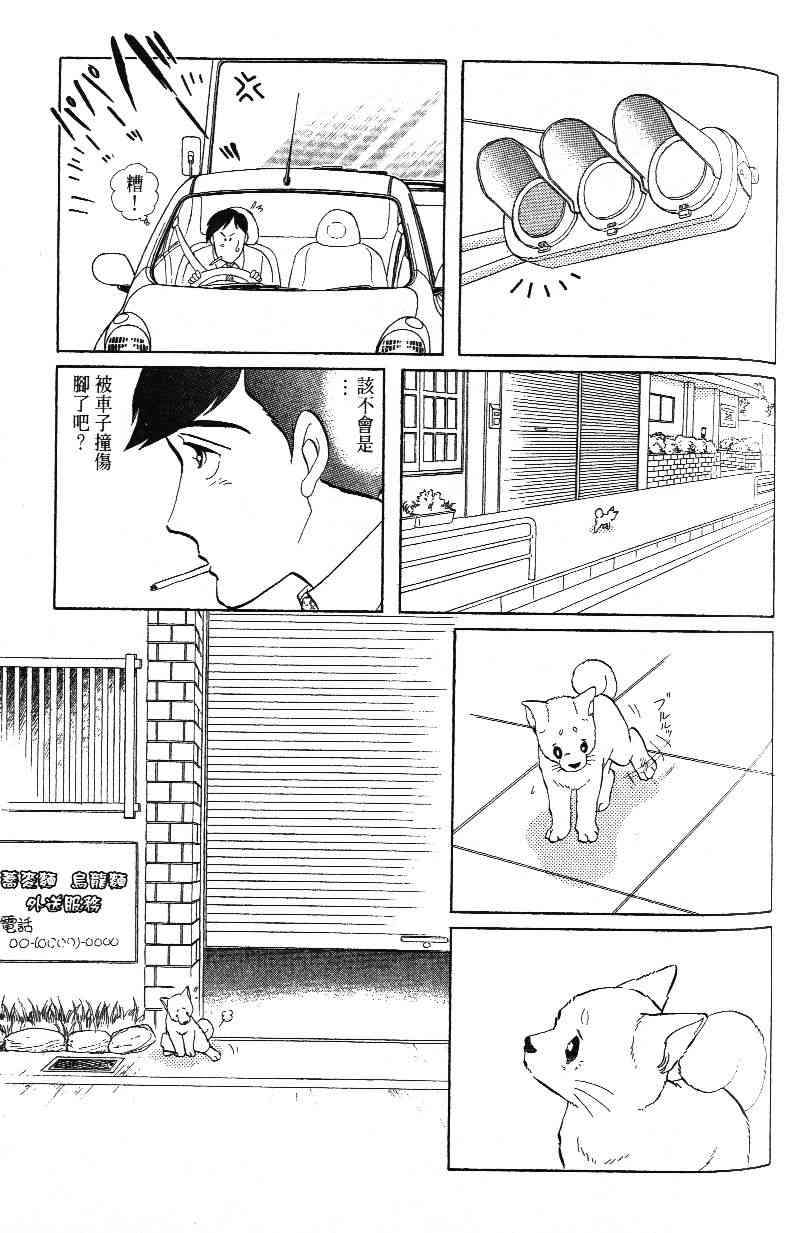 柴王 - VOL03 - 第107张图