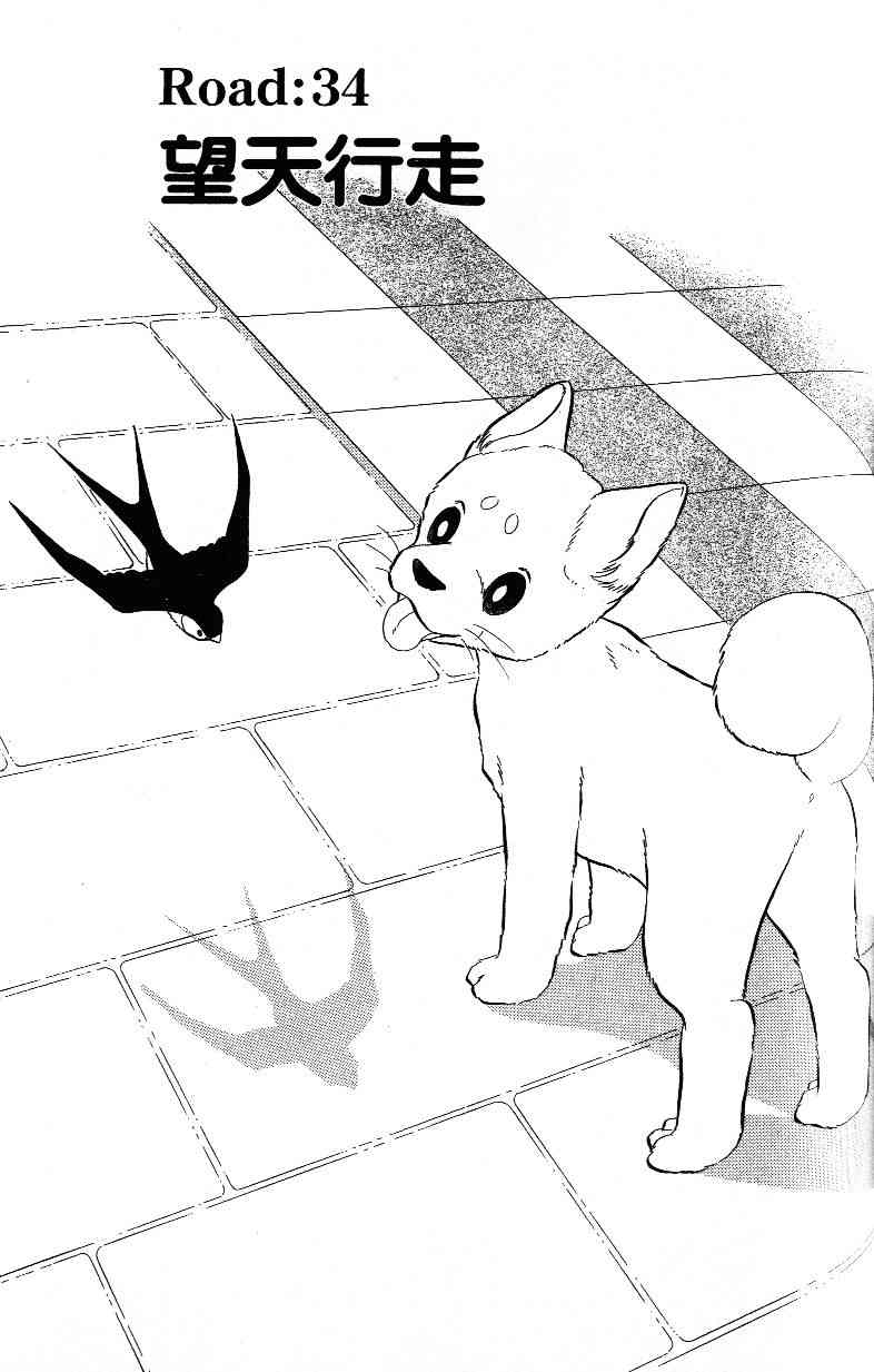 柴王 - VOL03 - 第131张图