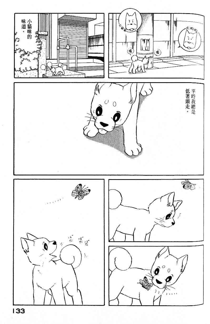 柴王 - VOL03 - 第135张图