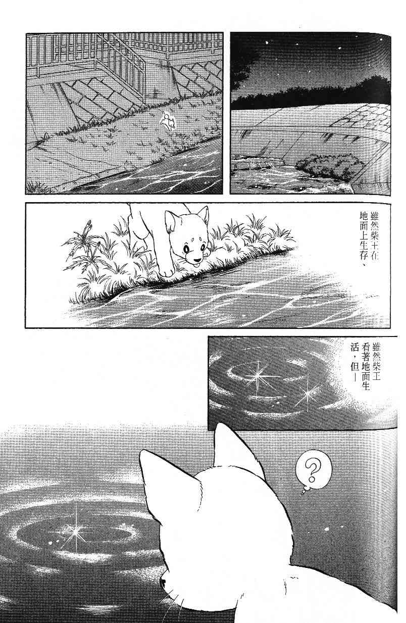 柴王 - VOL03 - 第141张图