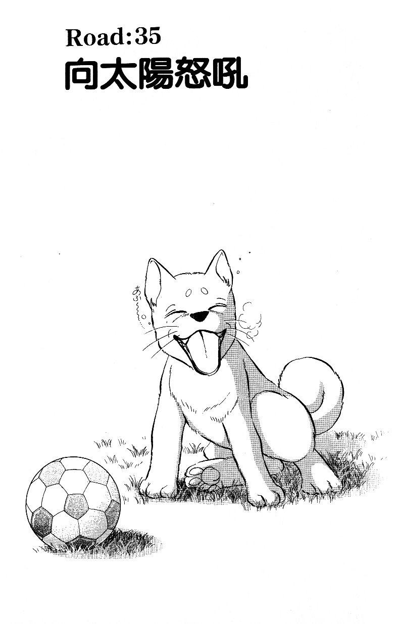 柴王 - VOL03 - 第145张图