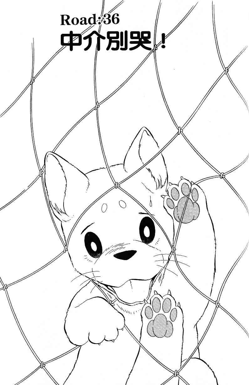 柴王 - VOL03 - 第159张图