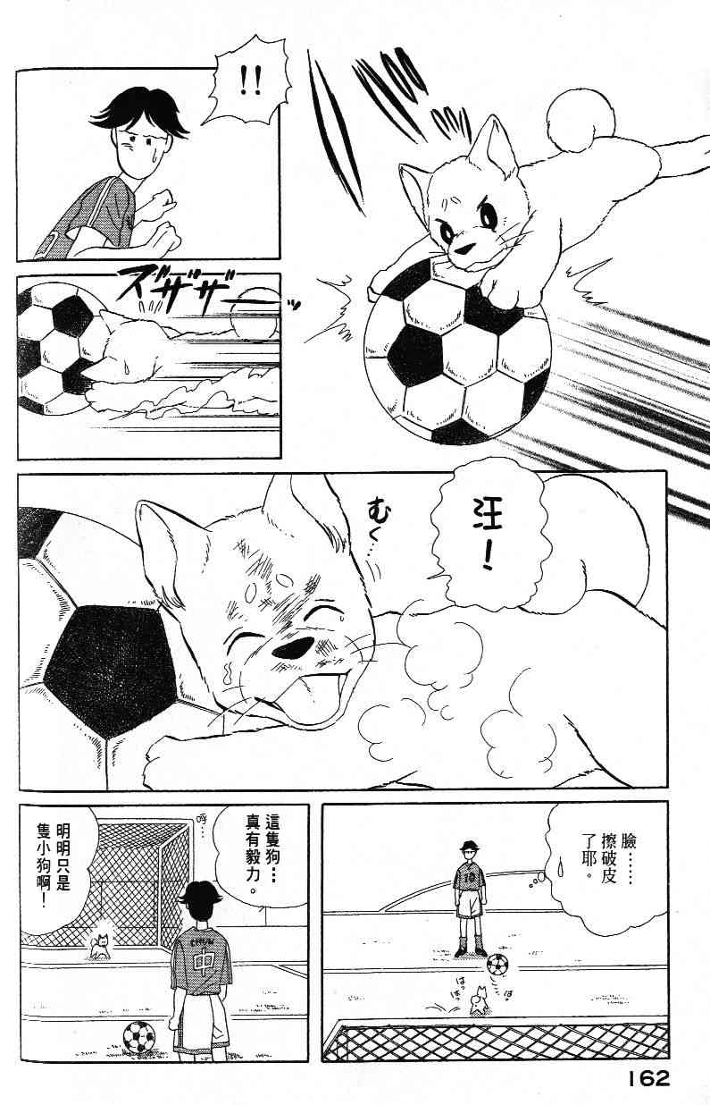 柴王 - VOL03 - 第164张图