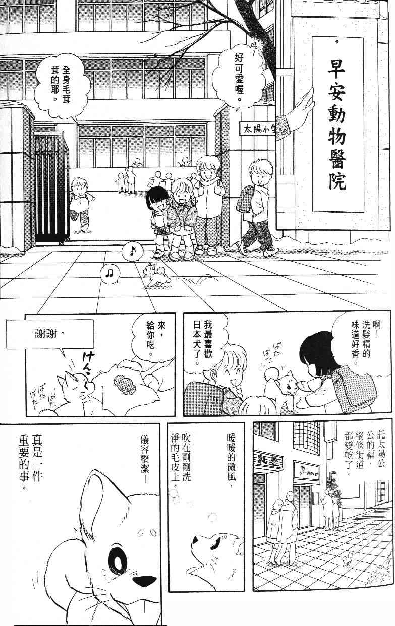 柴王 - VOL03 - 第17张图