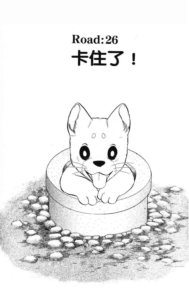 柴王 - VOL03 - 第19张图