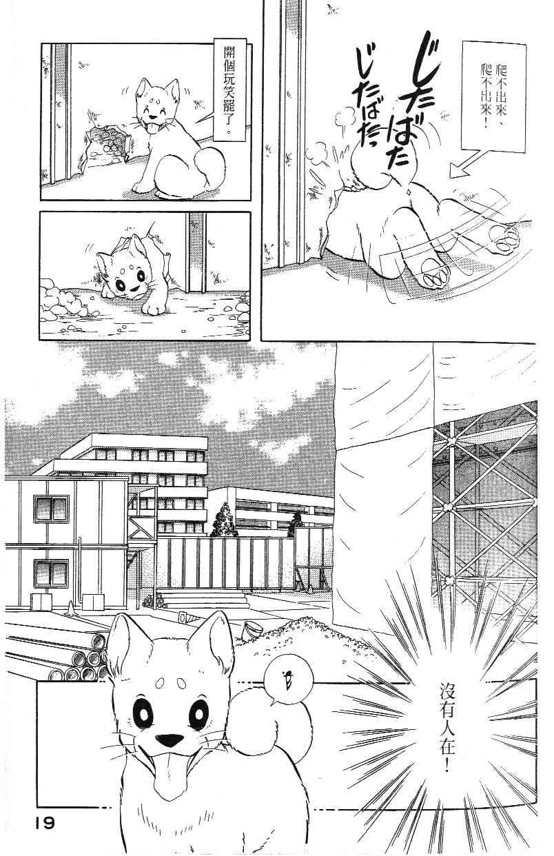 柴王 - VOL03 - 第21张图