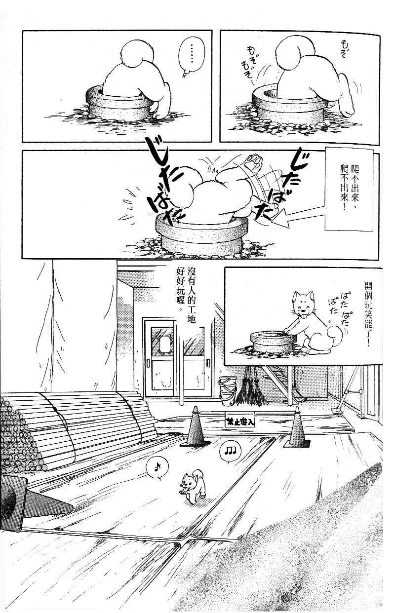 柴王 - VOL03 - 第23张图