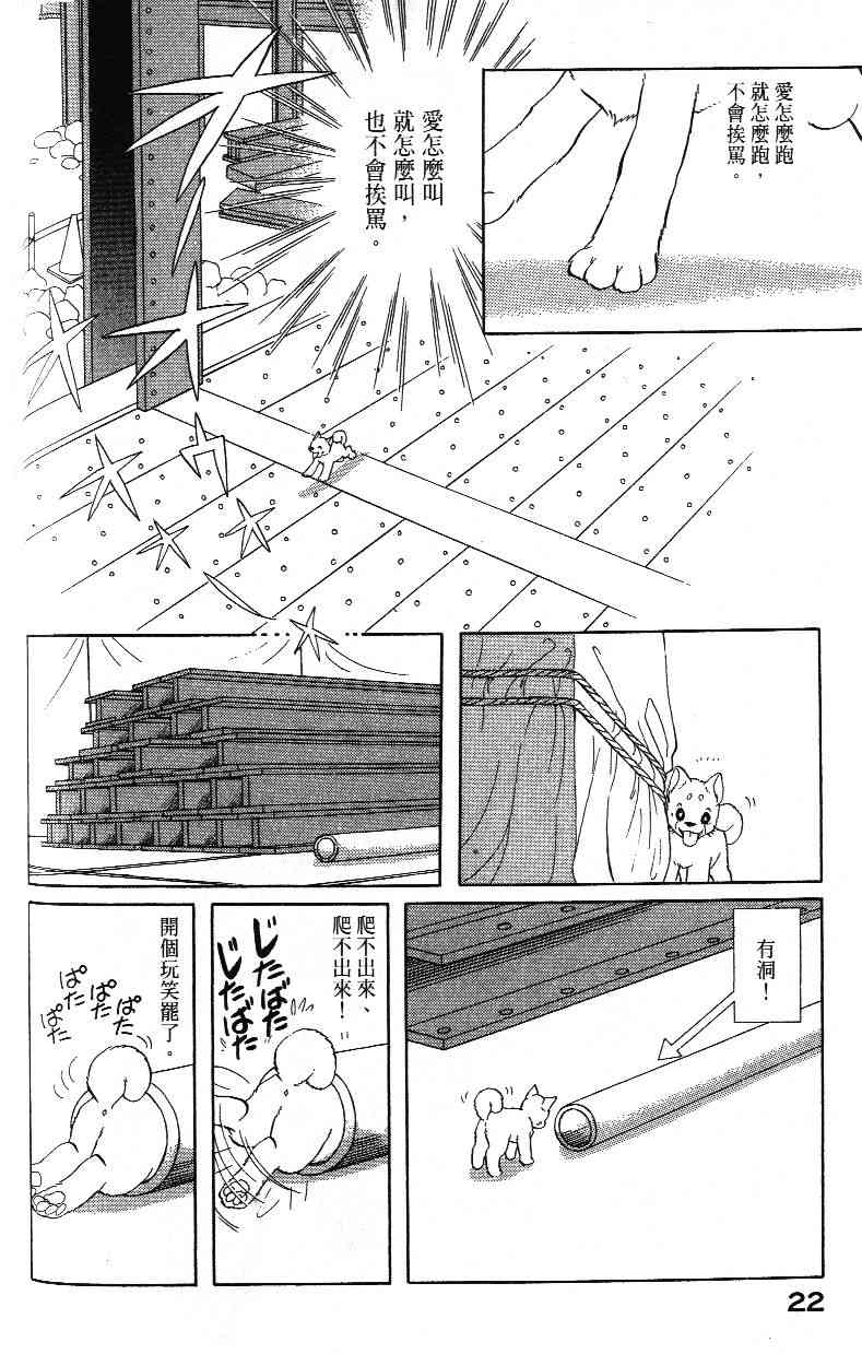 柴王 - VOL03 - 第24张图