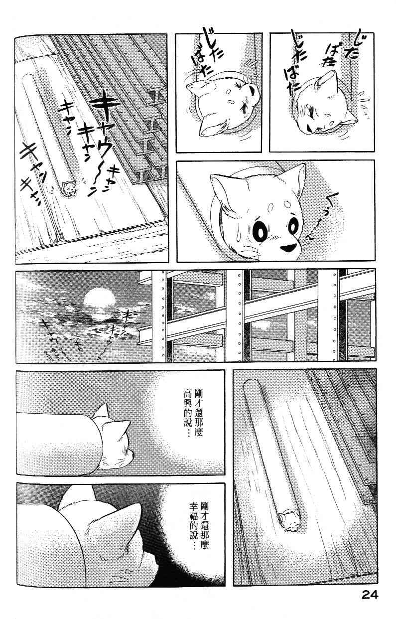 柴王 - VOL03 - 第26张图