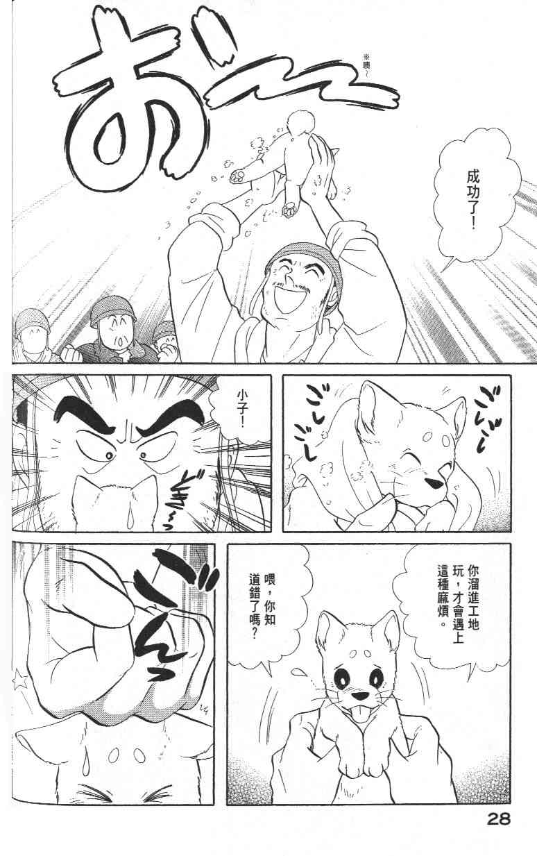 柴王 - VOL03 - 第30张图