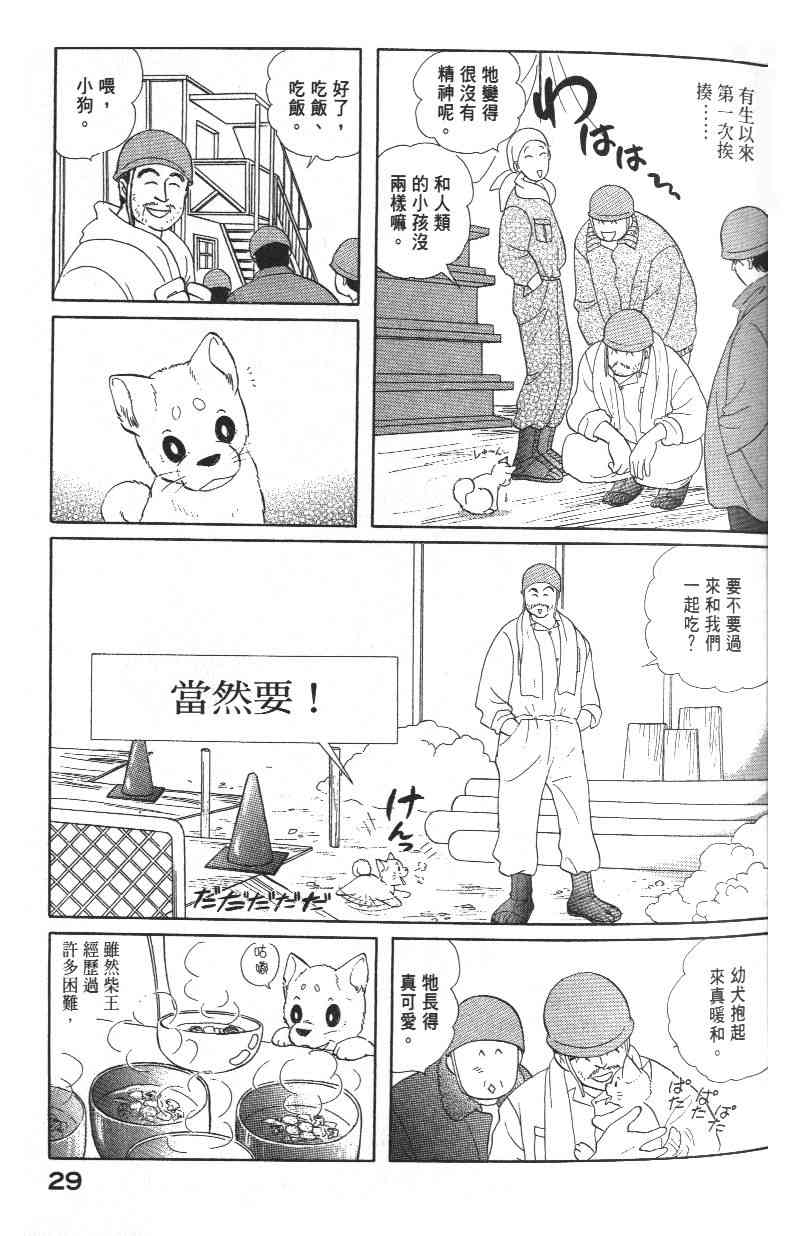 柴王 - VOL03 - 第31张图