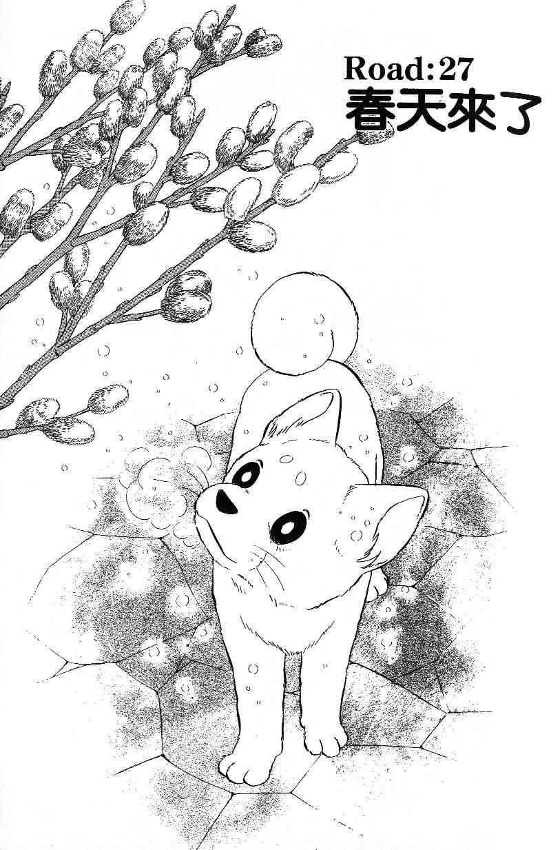 柴王 - VOL03 - 第33张图