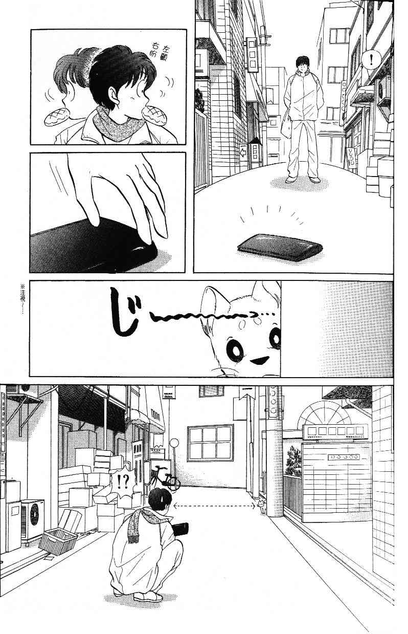 柴王 - VOL03 - 第35张图