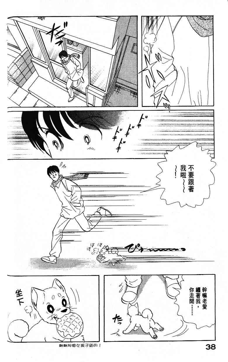 柴王 - VOL03 - 第40张图