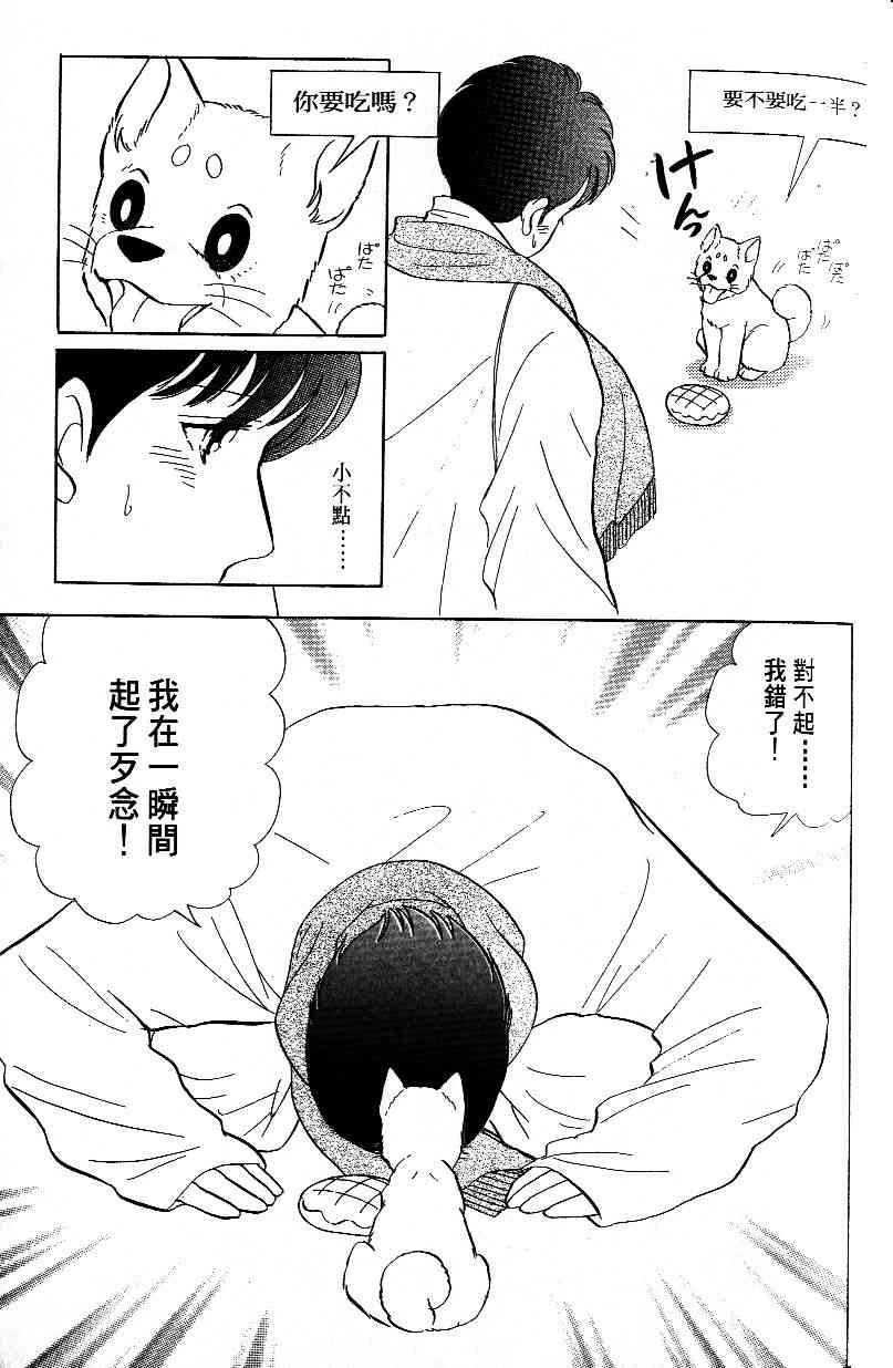 柴王 - VOL03 - 第41张图