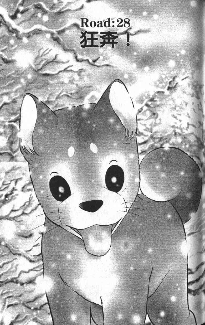 柴王 - VOL03 - 第47张图