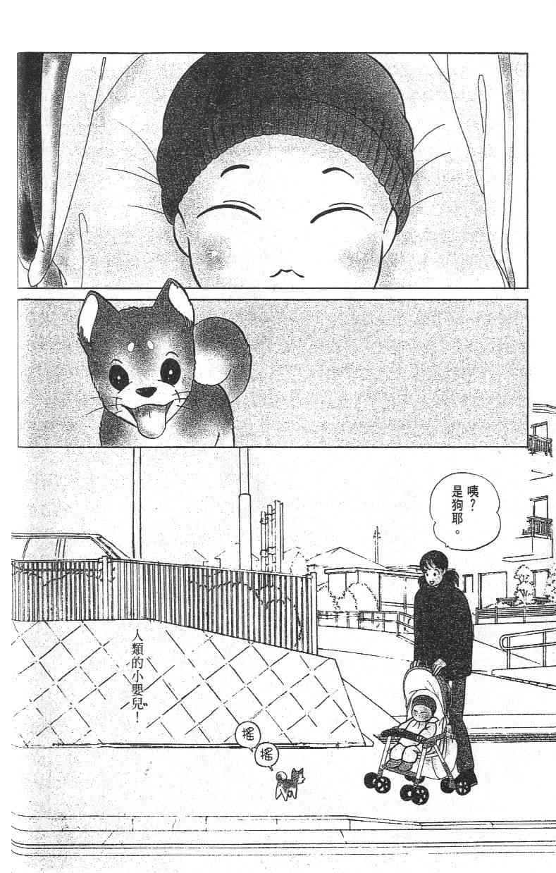 柴王 - VOL03 - 第48张图