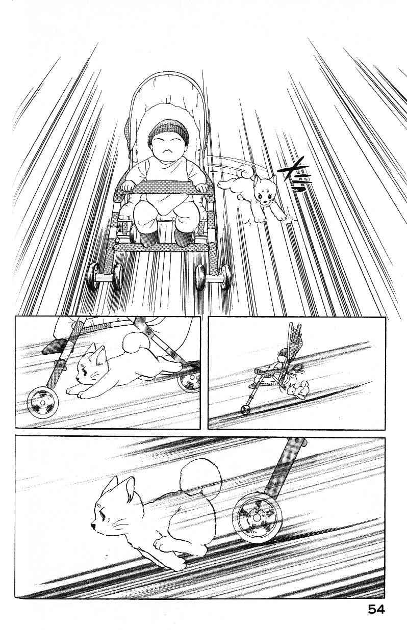 柴王 - VOL03 - 第56张图