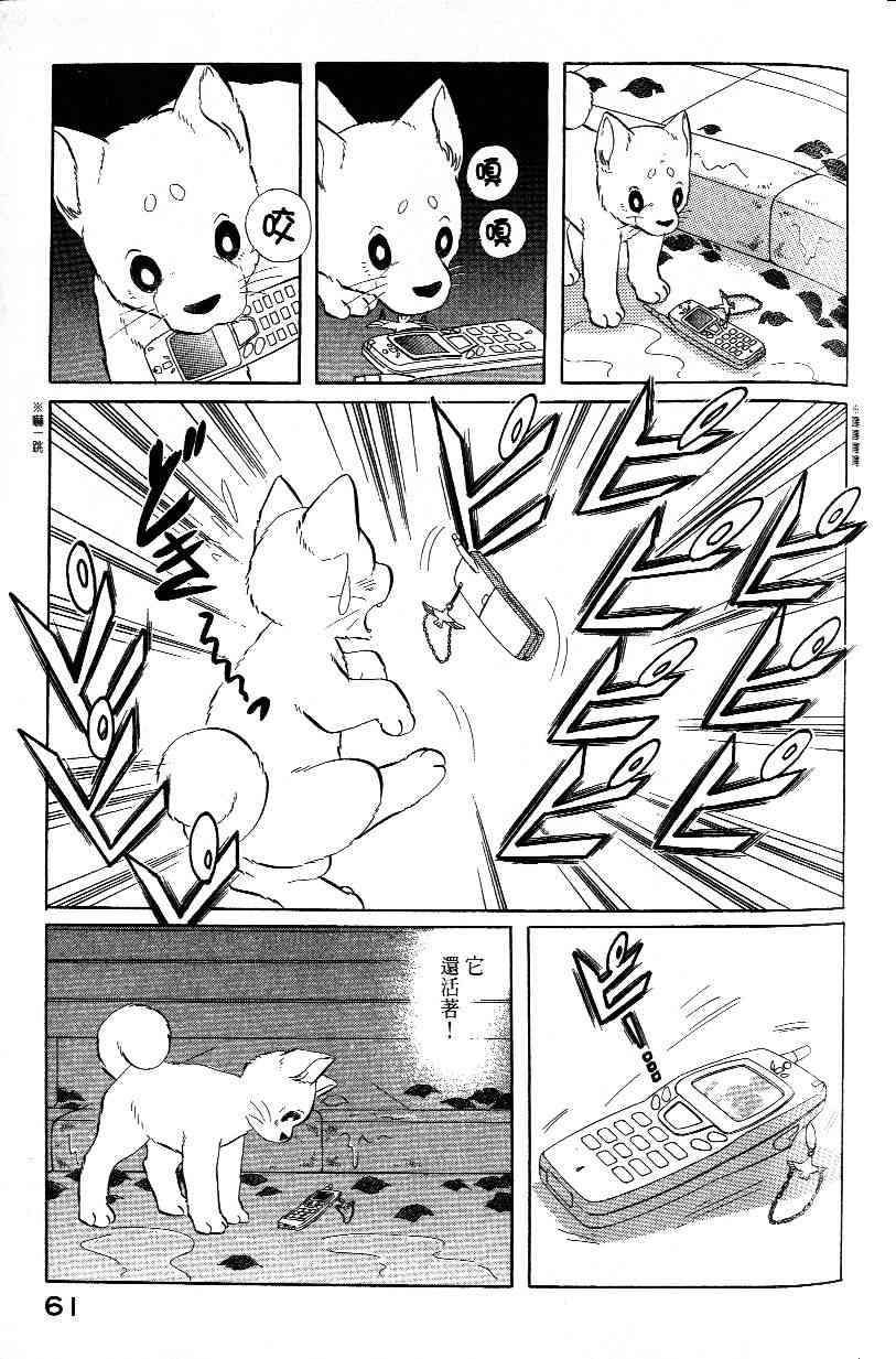 柴王 - VOL03 - 第63张图