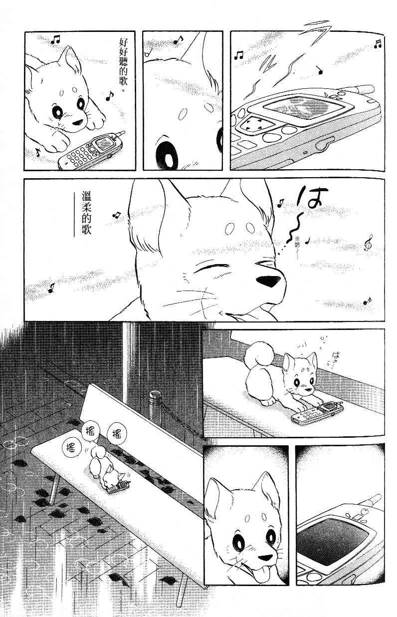 柴王 - VOL03 - 第65张图