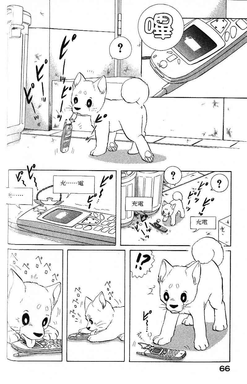 柴王 - VOL03 - 第68张图