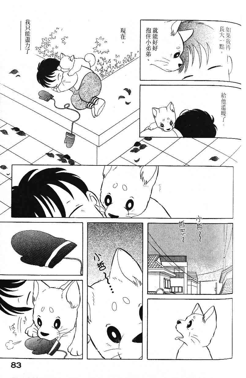 柴王 - VOL03 - 第85张图