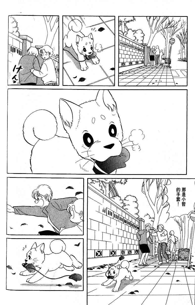 柴王 - VOL03 - 第86张图