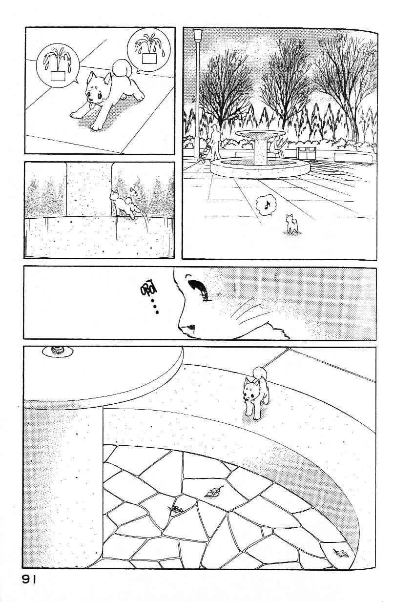 柴王 - VOL03 - 第93张图