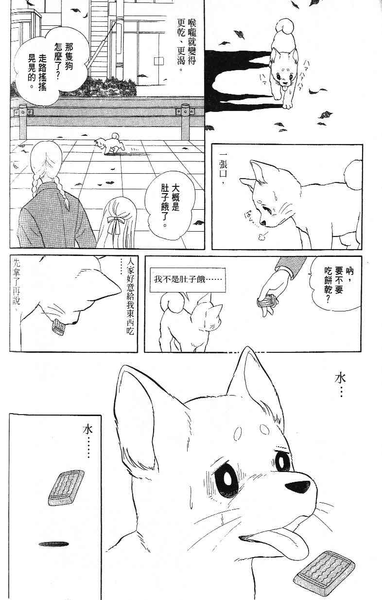 柴王 - VOL03 - 第96张图