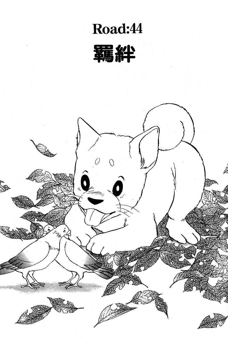 柴王 - VOL04 - 第103张图