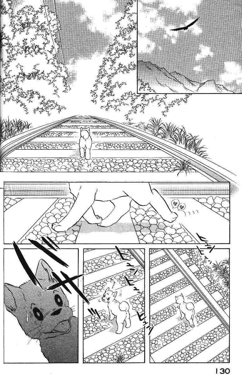 柴王 - VOL04 - 第132张图