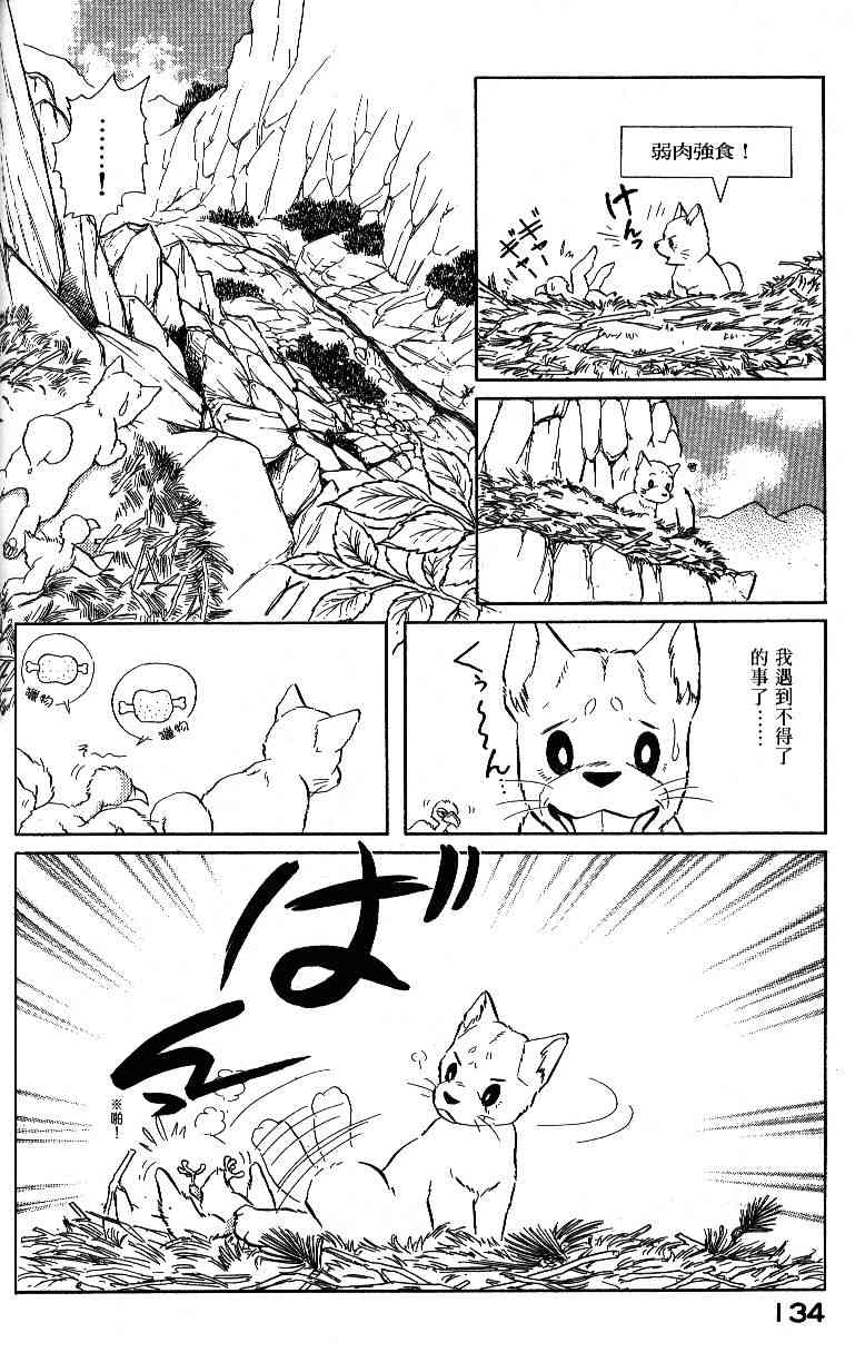 柴王 - VOL04 - 第136张图