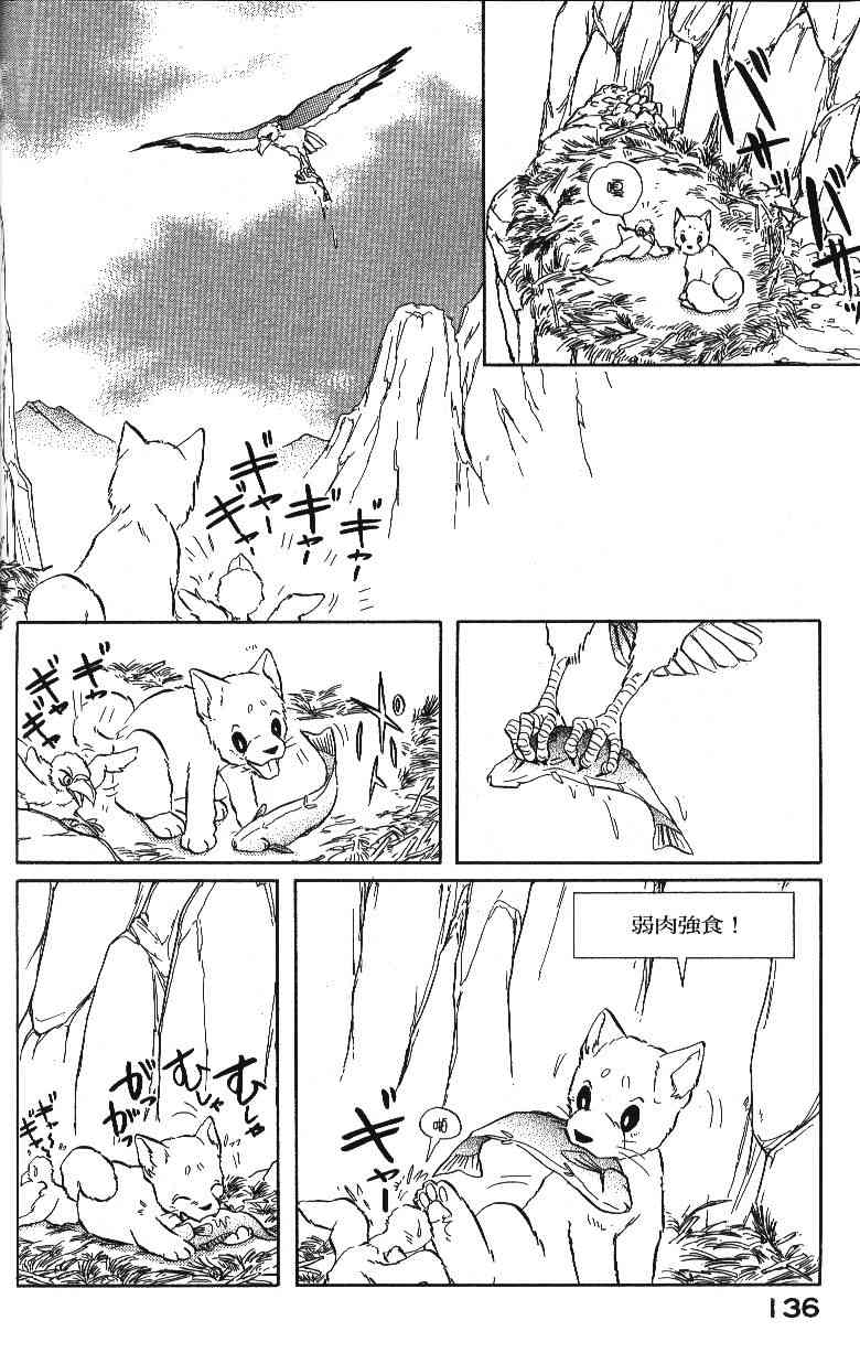 柴王 - VOL04 - 第138张图