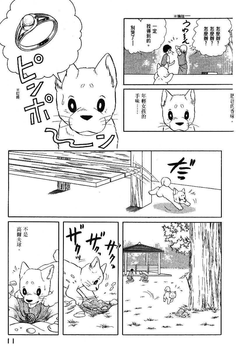 柴王 - VOL04 - 第13张图