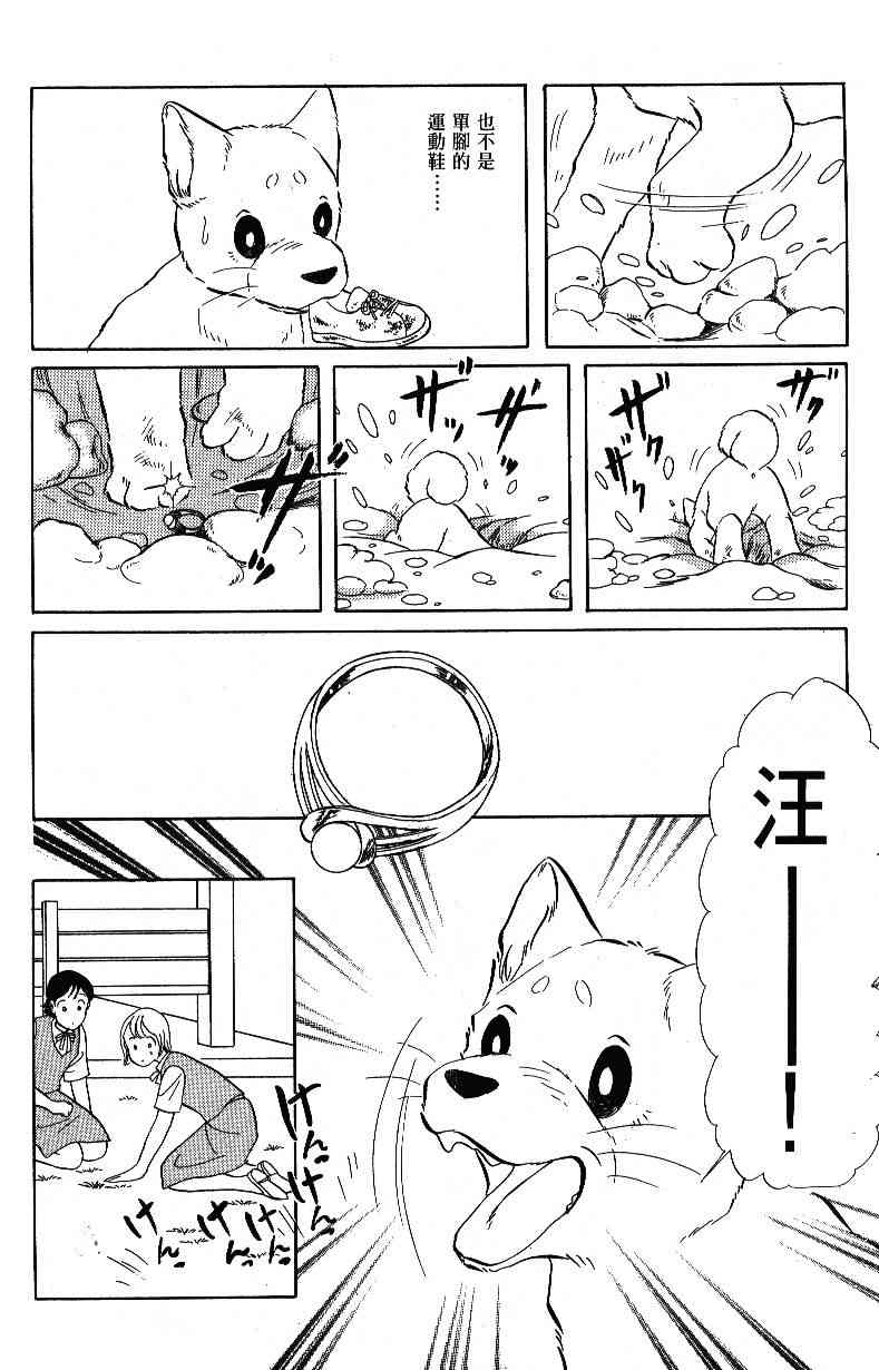 柴王 - VOL04 - 第14张图