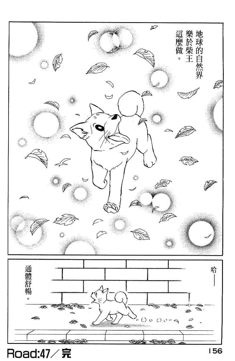 柴王 - VOL04 - 第158张图