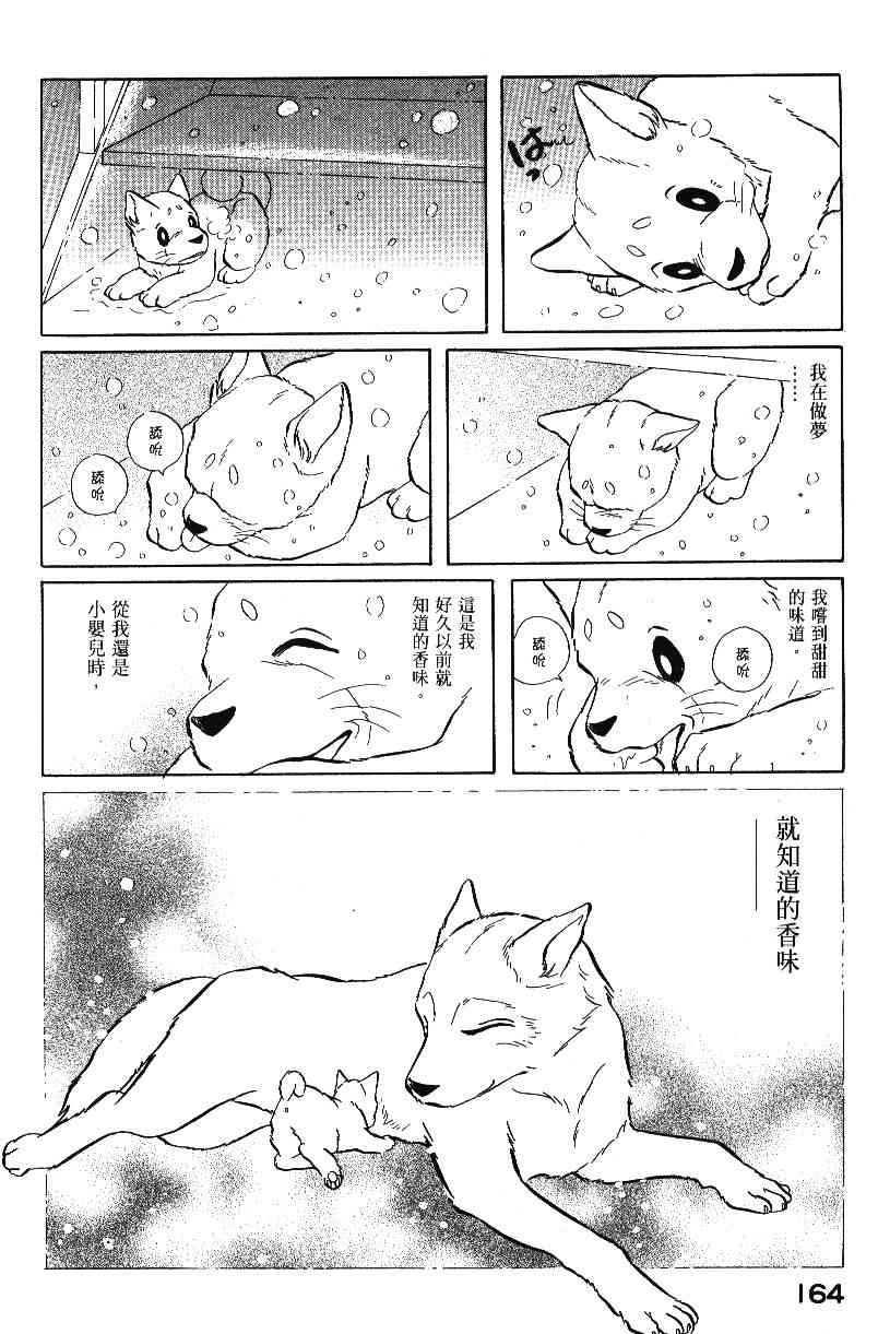柴王 - VOL04 - 第166张图