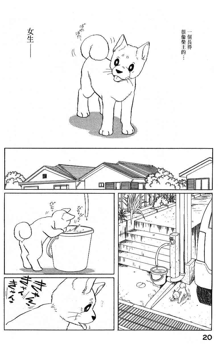 柴王 - VOL04 - 第22张图