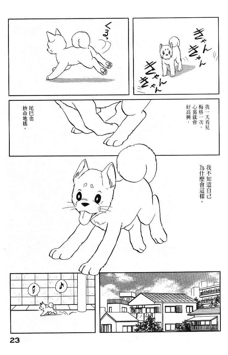 柴王 - VOL04 - 第25张图