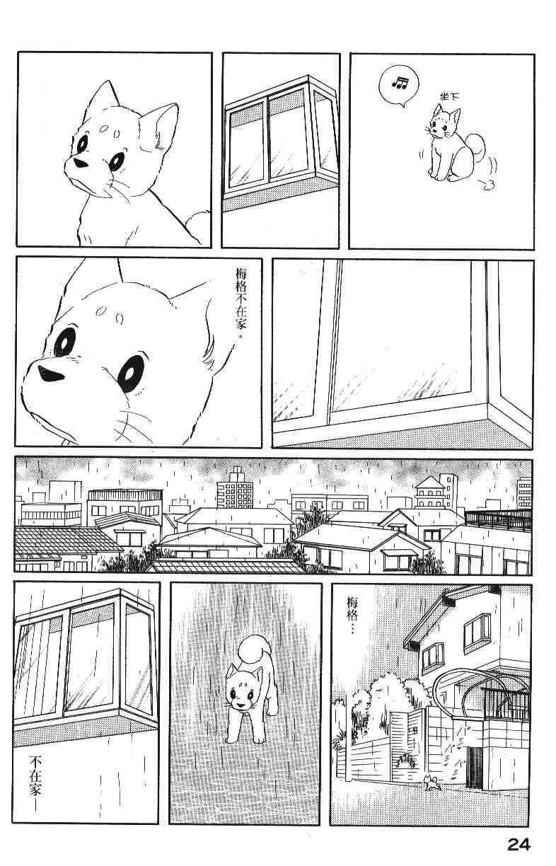 柴王 - VOL04 - 第26张图