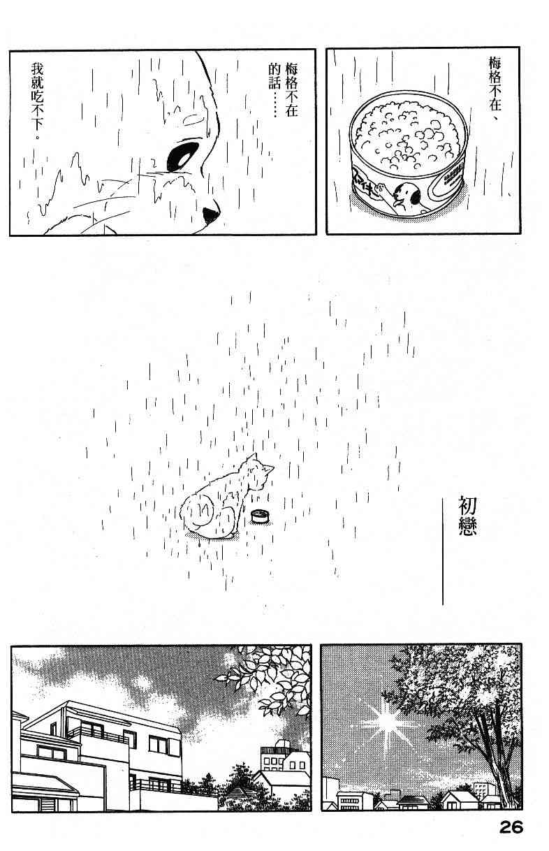 柴王 - VOL04 - 第28张图